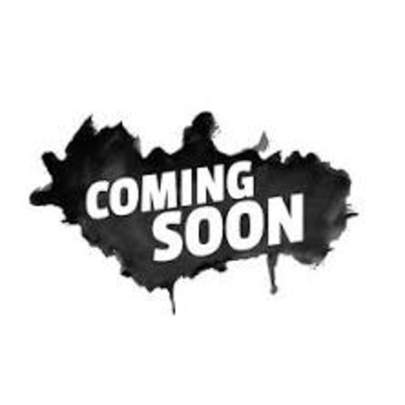 DVS Dayton Black Suede U.S. Mens Size 8