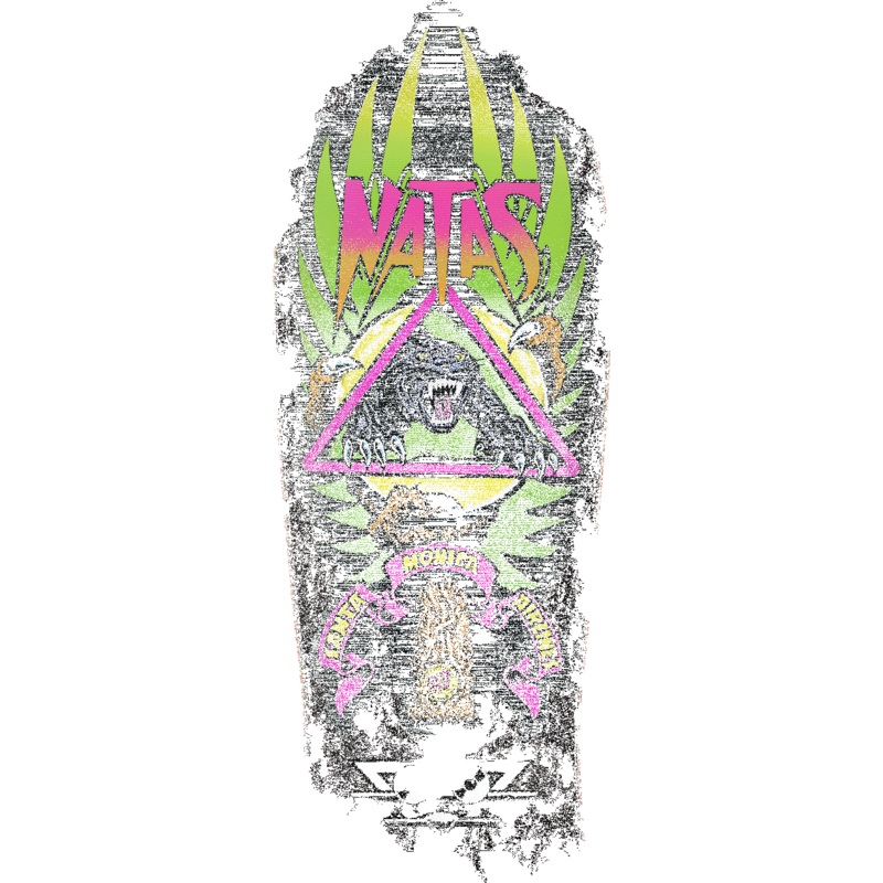 SANTA CRUZ RE-ISSUE DECK NATAS PANTHER LENTICULAR (10.58")
